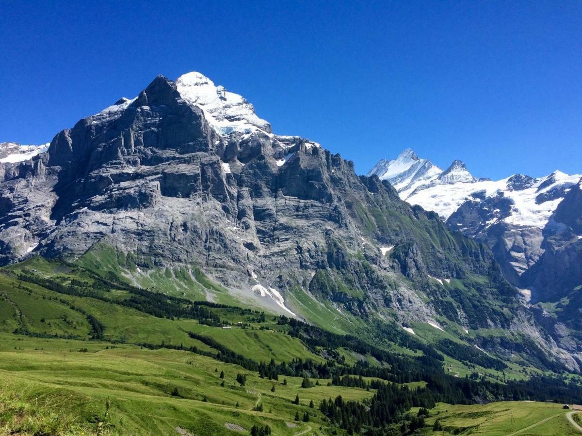 グリンデルヴァルトWetterhorn, Eiger, Jungfrau, Amazing!アパートメント エクステリア 写真