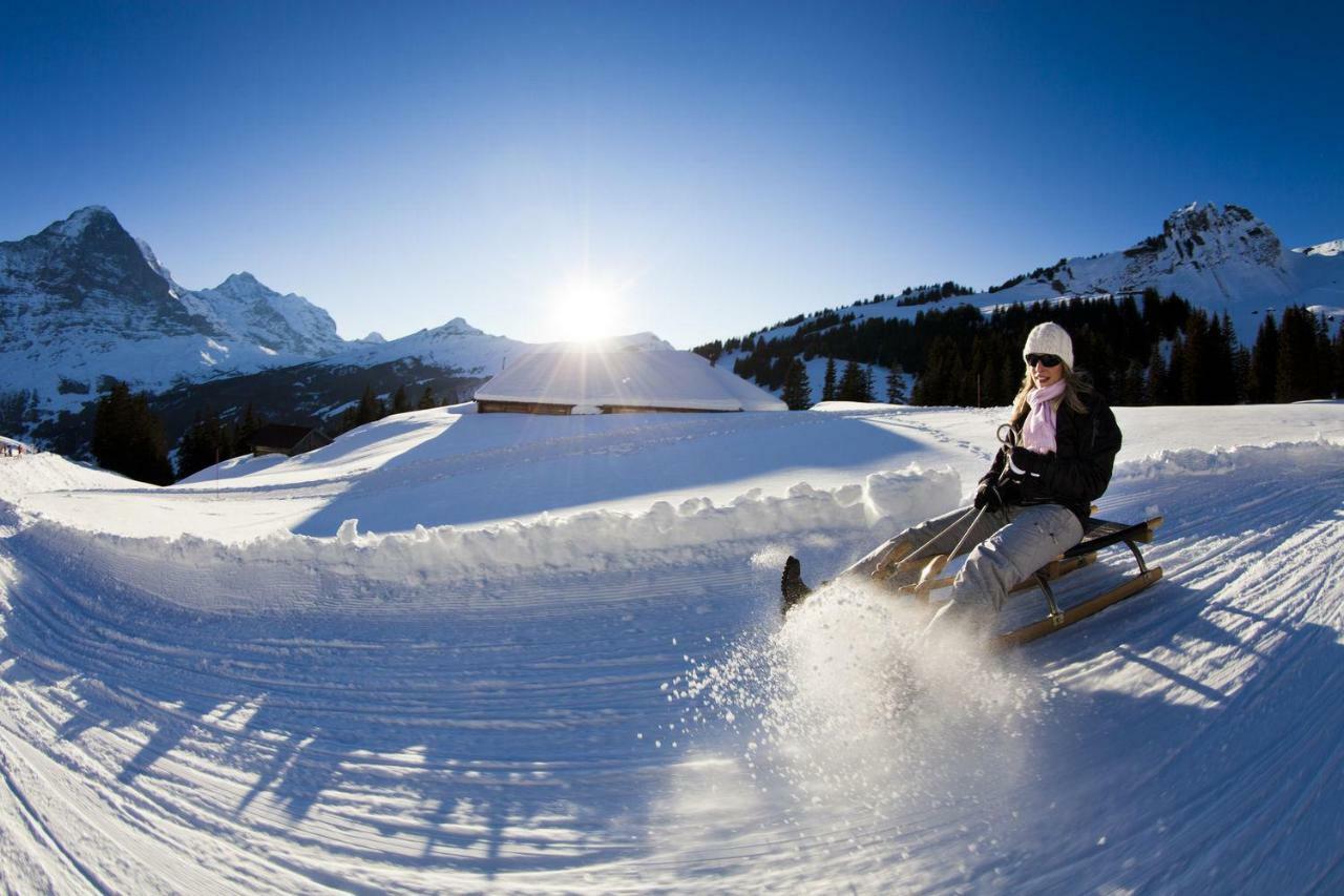 グリンデルヴァルトWetterhorn, Eiger, Jungfrau, Amazing!アパートメント エクステリア 写真